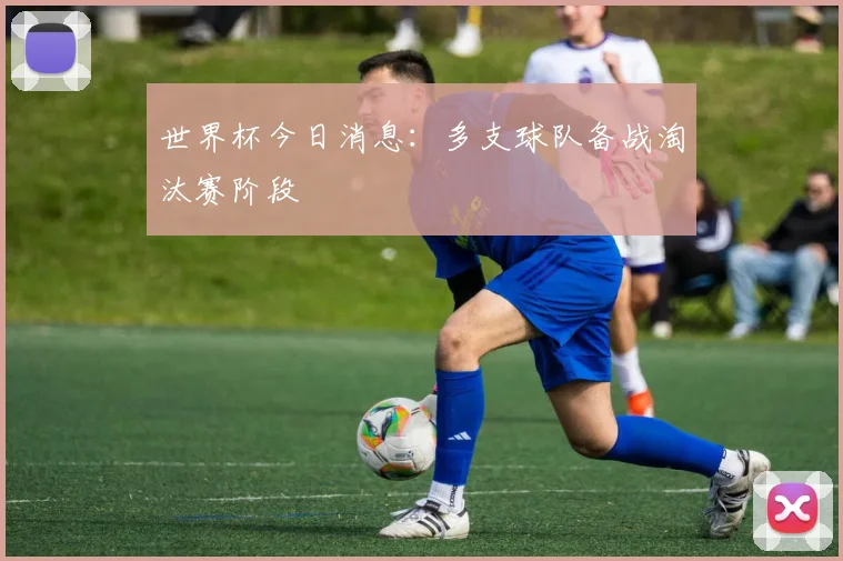 世界杯今日消息:多支球队备战淘汰赛阶段