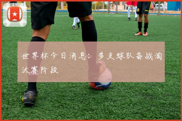 世界杯今日消息:多支球队备战淘汰赛阶段
