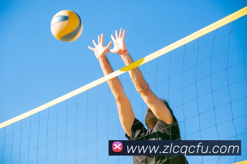 世界杯官网登录app平台生态图